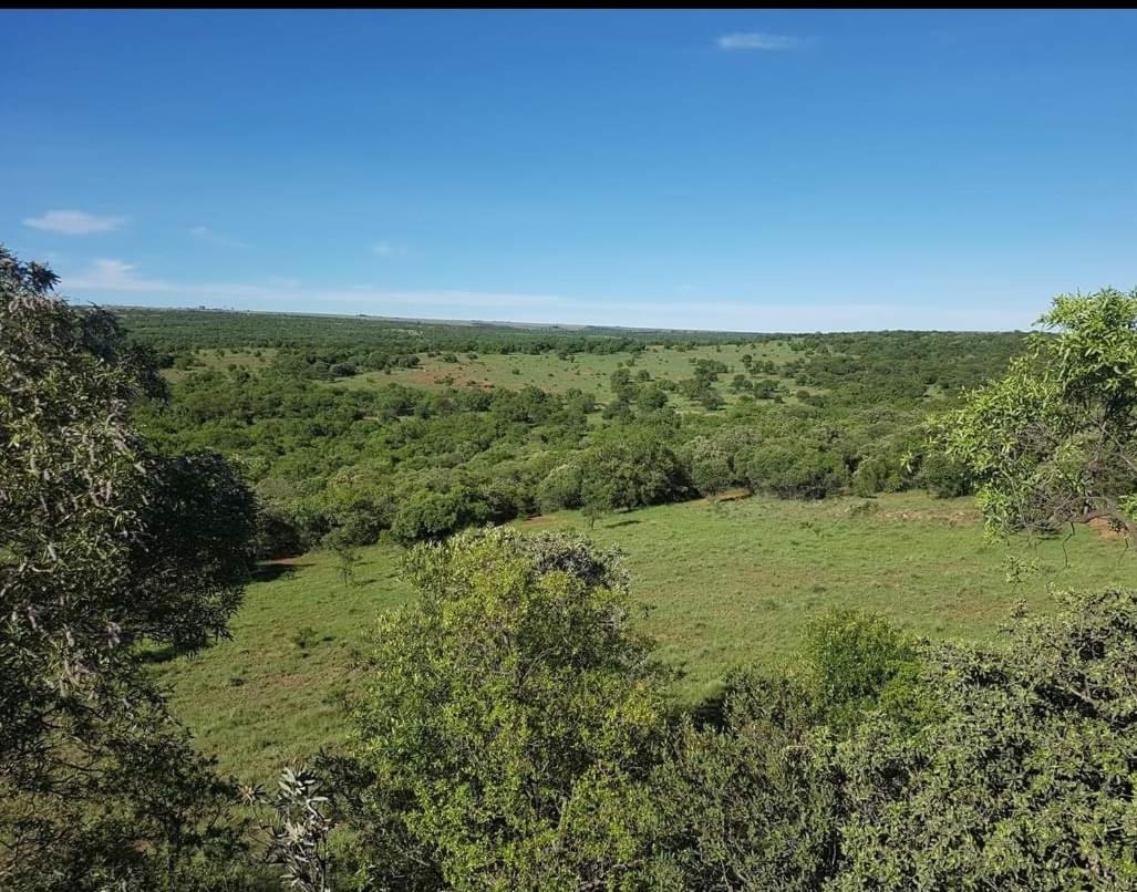 הוילה Derby Kareekloof Game Farm מראה חיצוני תמונה